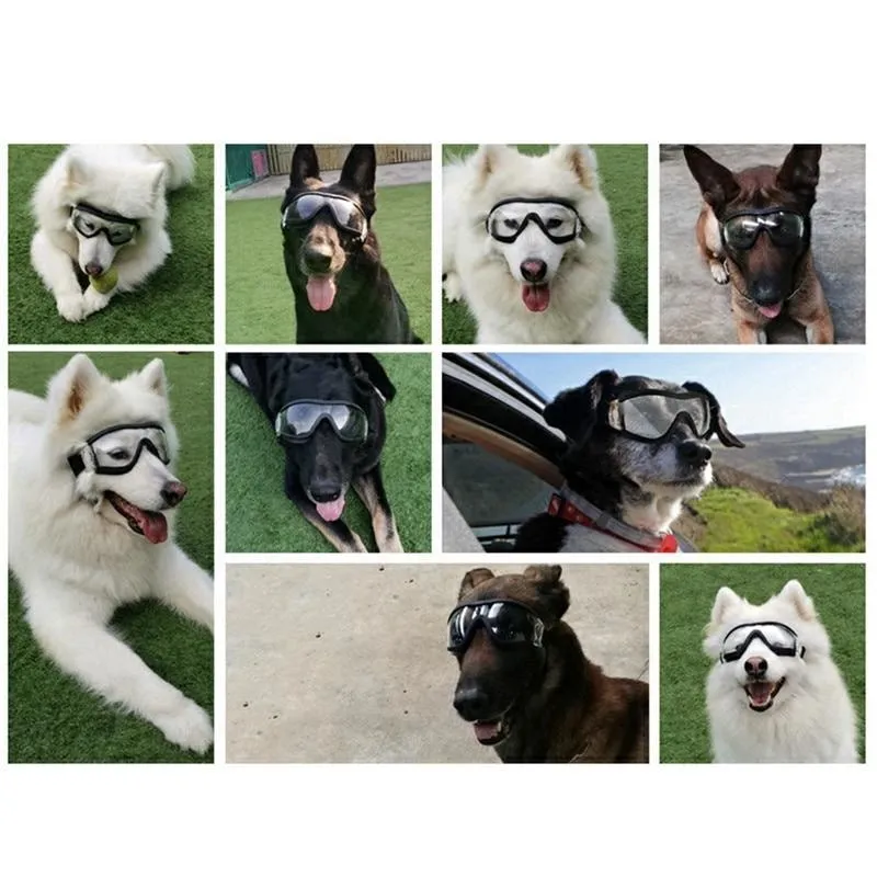 Dog Goggles Medium and Large